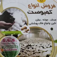 کمپوست قارچ