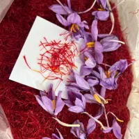 زعفران عمده|عمده‌فروشی|تهران, بهاران|دیوار