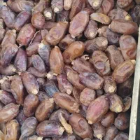 خرما|حراج|شادگان, |دیوار