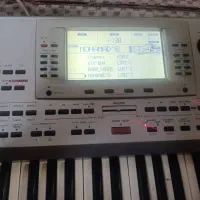 ارگ pa80|پیانو، کیبورد، آکاردئون|بردسیر, |دیوار