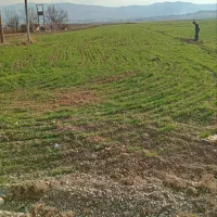 اجاره زمین کشاورزی
