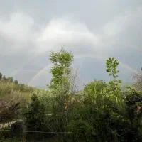 3000متر-زمین-در-دل-جنگل