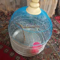 قفس گرد|لوازم جانبی حیوانات|مشهد, مصلی (کارمندان اول)|دیوار