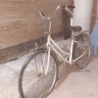فروش دو عدد دوچرخه|دوچرخه، اسکیت، اسکوتر|بندر ماهشهر, |دیوار
