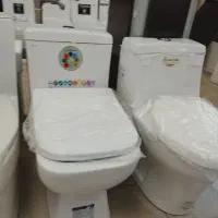 فرنگی ساترون