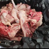 اشغال گوشت مرغ