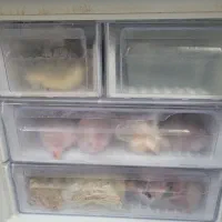 یخچال فریزر مدل رنزو|یخچال و فریزر|رشت, توشیبا|دیوار