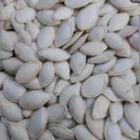 تخمه کدو خام فقط ۲کیلو مانده