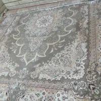 قالی و میز تلویزیون تمیز|فرش|دزفول, |دیوار