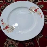ظروف پذیرایی وبخارپز و کاسه انارخوریو پیاله فرانسه