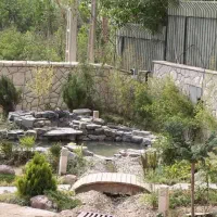 طراحی فضای سبز، روف گاردن و باغ