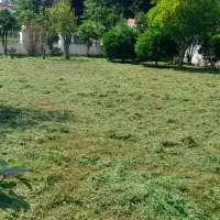 خدمات تخصصی باغبانی و فضای سبز|خدمات باغبانی و درختکاری|بندر انزلی, کارآموزی|دیوار