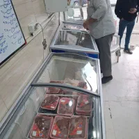 فروشندگی در پروتئینی