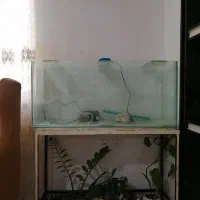 آکواریم با کلیه لوازم