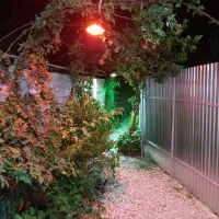 ااجاره سوییت دنج و دربست .جاده دریا ساری شهر آکند|اجارهٔ کوتاهمدت ویلا و باغ|آکند, |دیوار