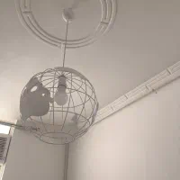 لوستر آویز|لوستر و چراغ آویز|کرمان, |دیوار