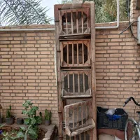 قفس جفت‌گیری کبوتر