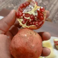 خرید و فروش انارترکیده و درجه۲به بالاترین قیمت