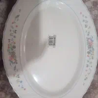 دیس بیضی آرکوپال دوعدد نو نو فرانسه