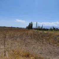 زمین کشاورزی