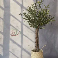 درختچه|گل مصنوعی|قم, انسجام|دیوار