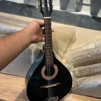 ماندولین بسیار خوش صدا