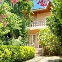 فروش هزار متر باغ انگور خونه باغ و باغ شهری درکوار