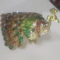 طاووس طلایی