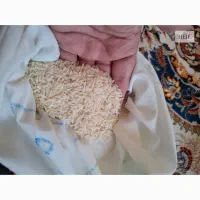 پخش برنج طارم گرگان|خوردنی و آشامیدنی|قم, پردیسان|دیوار