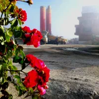 استخدام راننده پایه یک برای میکسر