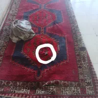 فرش دستباف|فرش|اردبیل, |دیوار