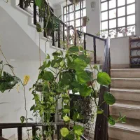 اجاره آپارتمان ۸۵متری درپارک شهر|اجارهٔ آپارتمان|رشت, پارک شهر|دیوار