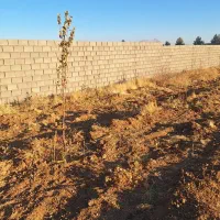 زمین باغی آبپرده ۱۰۰۰ متری