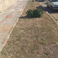 کارگر فنی و ساده در شهرک بیلوردی