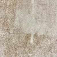 موکت پالاز ۱۲ متری|موکت|قم, پردیسان|دیوار