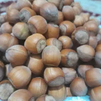 فندق درجه‌1|خوردنی و آشامیدنی|تهران, کن|دیوار