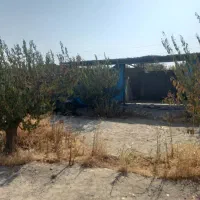 ۵۰۰ متر باغچه در بابا سلمان برای معاوضه|فروش دفتر صنعتی، کشاورزی، تجاری|قدس, شهر‌قدس|دیوار