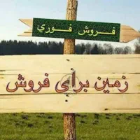 زمین304-متری-تک-برگ