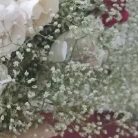 پرده تصویری اوپن