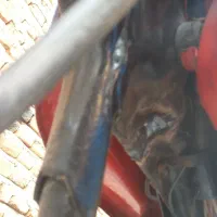 موتور|موتورسیکلت|بناب, |دیوار