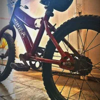 دوچرخه 16|دوچرخه، اسکیت، اسکوتر|بیرجند, |دیوار