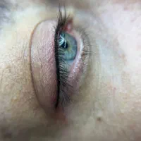 اجاره لاین آرایش دائم