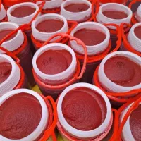 رب خانگی|خوردنی و آشامیدنی|قم, قلعه کامکار|دیوار