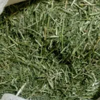 یونجه مخصوص خرگوش و خوکچه