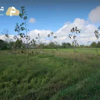 فروش-ویژه-زمین-مسکونی-مزروعی-با-سند-قطعی