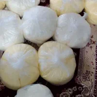 کره|خوردنی و آشامیدنی|شیراز, خلدبرین|دیوار