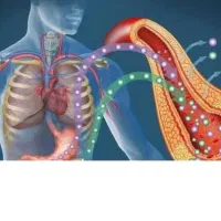 کنترول دیابت کاملا گیاهی بدون قرص وانسولین