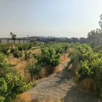 فروش-اقساطی-باع-وباغچه