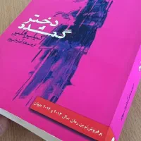 کتاب دختر گمشده|کتاب و مجله ادبی|تهران, ولنجک|دیوار