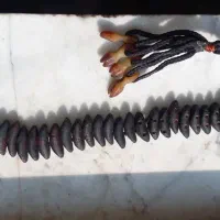 تسبیح زیتون در انواع طرح و نقش تراش دست|جواهرات|رشت, پیرسرا|دیوار